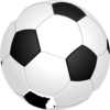 VINOX PU SIZE 5 FOOT BALL