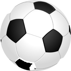 VINOX PU SIZE 5 FOOT BALL
