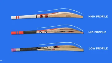 Cricket Bat Shape: A Key Factor for Performance and Comfort