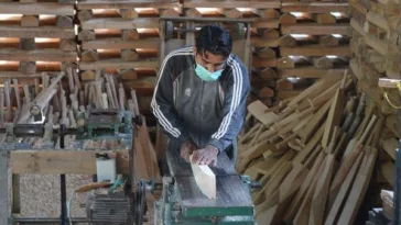 Cricket Bat Varieties: Exploring the Different Types for Every Player