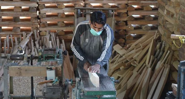 Cricket Bat Varieties: Exploring the Different Types for Every Player