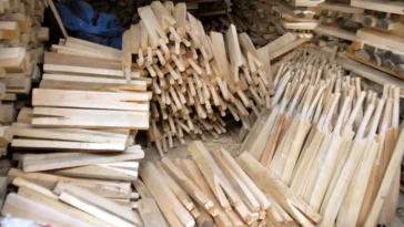 Kashmir willow bats