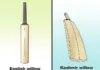 Kashmiri Willow and English Willow Cricket Bat