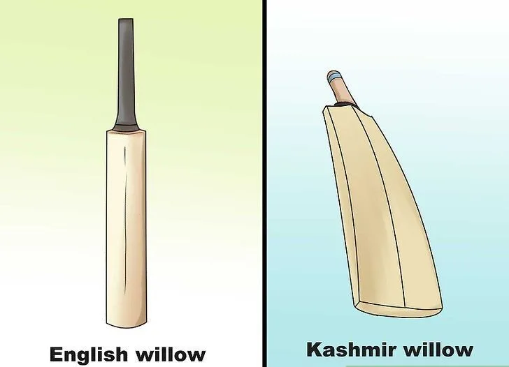 Kashmiri Willow and English Willow Cricket Bat