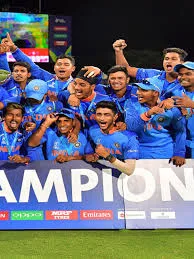Learn about cricket