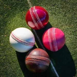 Take a look at Cricket Essential