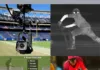 How Technology Changed the Game of Cricket