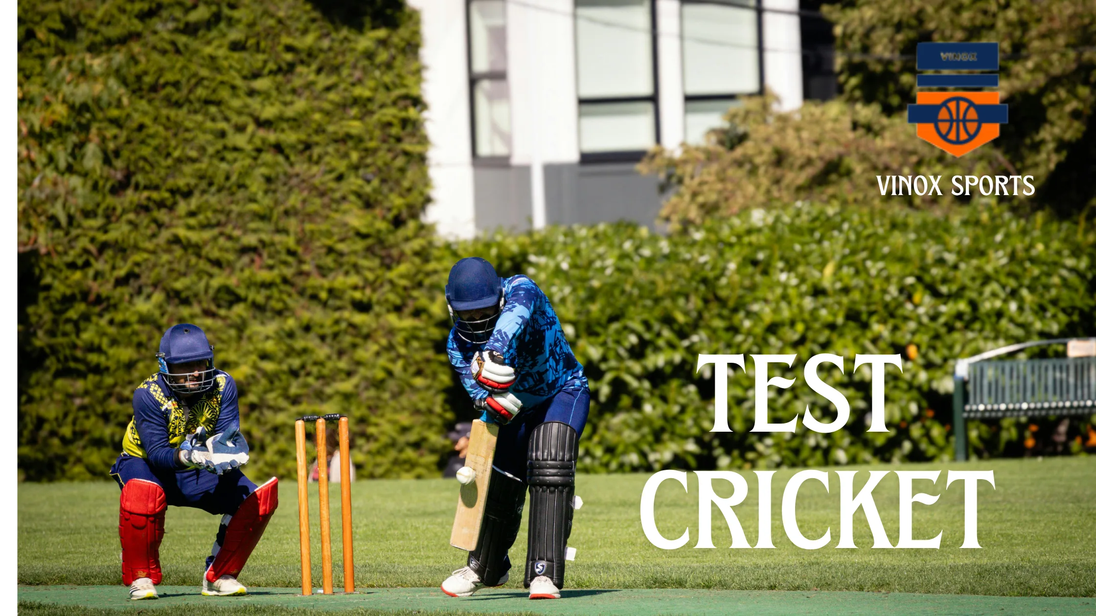 test cricket