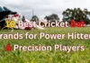 10 Best Cricket Bat Brands for Power Hitters & Precision Players