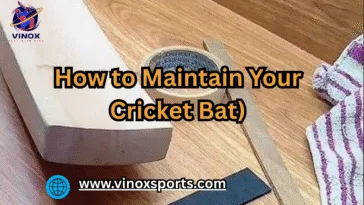 How to Maintain Your Cricket Bat