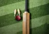 BAT PREPARATION & CARE GUIDELINES
