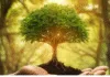 Plant Trees Save Life: Importance of Tree Plantation