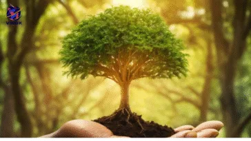 Plant Trees Save Life: Importance of Tree Plantation