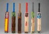 premium cricket bat in Meerut is Vinox Sports.