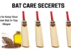 Bat Care Secrets