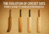 Evolution of Cricket Bats