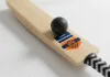 best quality English willow bat