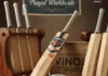 Vinox Sports cricket bat manufacturers