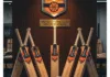 best cricket bat in India