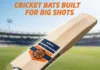 cricket bats for power hitting
