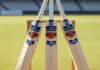 best bat for all cricket formats