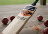 premium willow cricket bats
