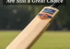 Kashmir willow cricket bat benefits