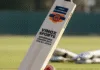 high-quality cricket bats