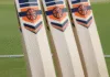 affordable professional cricket bats