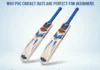 PVC cricket bats for beginners