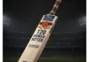 Best cricket bat for T20 power hitters