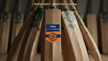 Cricket Bat Replacement Time