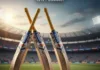 One Cricket Bat Formats