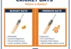 Budget vs Premium Bats