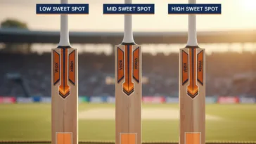 Cricket Bat Sweet Spot