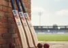 boundary hitter cricket bats