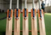 cricket bat buying tips