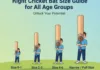 right cricket bat size