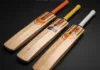 long lasting cricket bats