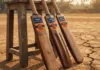 Cricket Bats Indian Weather
