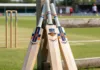 Best Cricket Bat Features