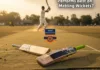 Cricket Bat Matting Wickets