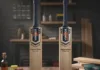 Premium Cricket Bat Craftsmanship