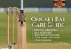 Avoid Cricket Bat Breakage