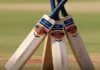 Power Precision Cricket Bats