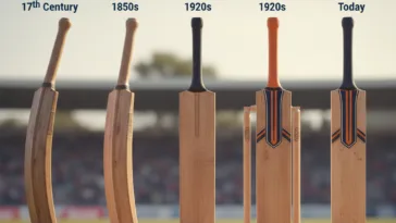 Changing Cricket Bat Designs