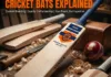 Private Brand Cricket Bats