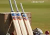 Cricket Bat Selection Psychology
