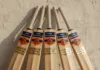 Indian Cricket Bat Manufacturer
