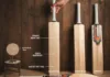 Genuine Willow Cricket Bat